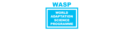 WASP Logo